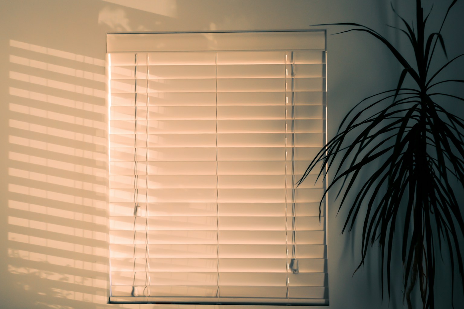 White faux wood blind with wide moisture-resistant slats filtering daylight in an interior